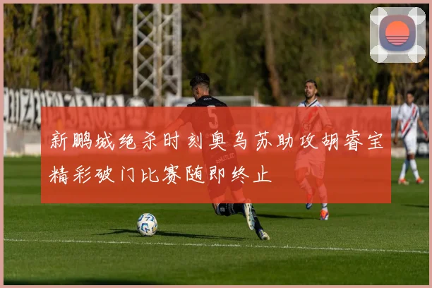 新鹏城绝杀时刻奥乌苏助攻胡睿宝精彩破门比赛随即终止